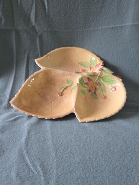 This is a vintage Carlton Ware "Apple Blossom"
